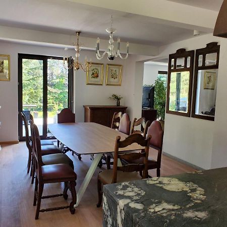 Villa Nad Dabrowka Mala Huta Esterno foto