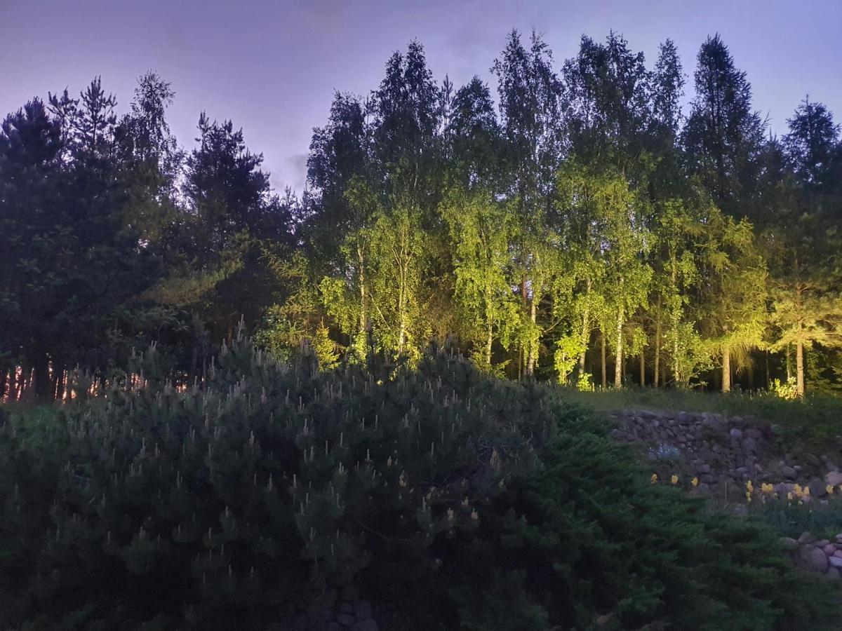 Villa Nad Dabrowka Mala Huta Esterno foto